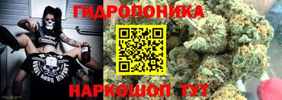 крисы Бийск