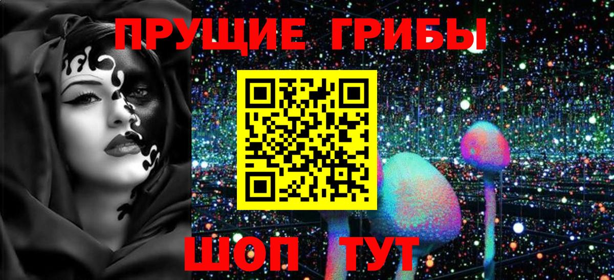 Псилоцибиновые грибы Psilocybe Калуга