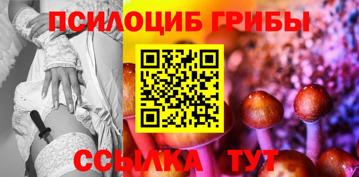 Псилоцибиновые грибы прущие грибы  Вход с VPN  Калуга 